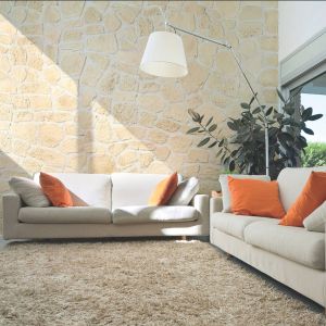 Piatră decorativă, interior, bej, Cote Mur