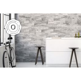 Piatră decorativă, exterior / interior, gri, Prostack Grey