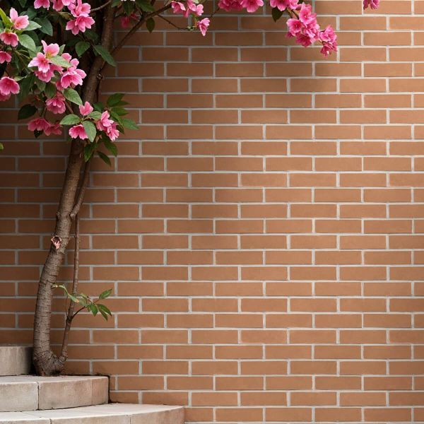 Cărămida aparentă exterior / interior, roșu, Tanagra Caramel